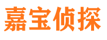 盐都市私家侦探